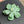 Load image into Gallery viewer, Mini Spinner Flower Pendant - Mint

