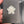 Load image into Gallery viewer, Mini Spinner Flower Glow in the Dark
