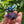 Load image into Gallery viewer, Butterfly Sculpture / Slurper Cap
