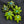 Load image into Gallery viewer, 420 Pendant 1/5
