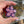 Load image into Gallery viewer, Pastel Spinning Flower Pendant - Blush and Hyacinth
