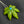 Load image into Gallery viewer, 420 Pendant 3/5
