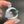 Load image into Gallery viewer, Moonflora Spinner in Glopal and Blue
