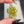 Load image into Gallery viewer, Sparkle Spinner Flower Pendant - UV Citrine &amp; Gold
