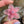 Load image into Gallery viewer, Pastel Spinning Flower Pendant - Blush and Mint
