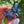 Load image into Gallery viewer, Butterfly Sculpture / Slurper Cap
