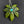 Load image into Gallery viewer, 420 Pendant 2/5
