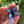 Load image into Gallery viewer, Butterfly Sculpture / Slurper Cap

