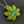 Load image into Gallery viewer, 420 Pendant 4/5
